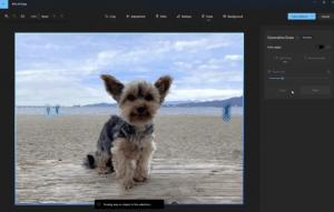 Приложение «Фотографии» в Windows научилось удалять лишние объекты с фото с помощью ИИ